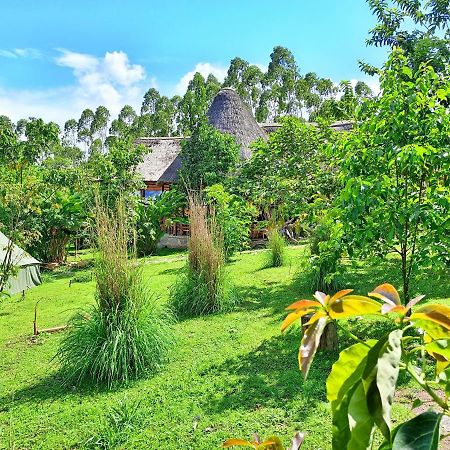 Chimpanzee Capital Safari Lodge Bigodi 외부 사진