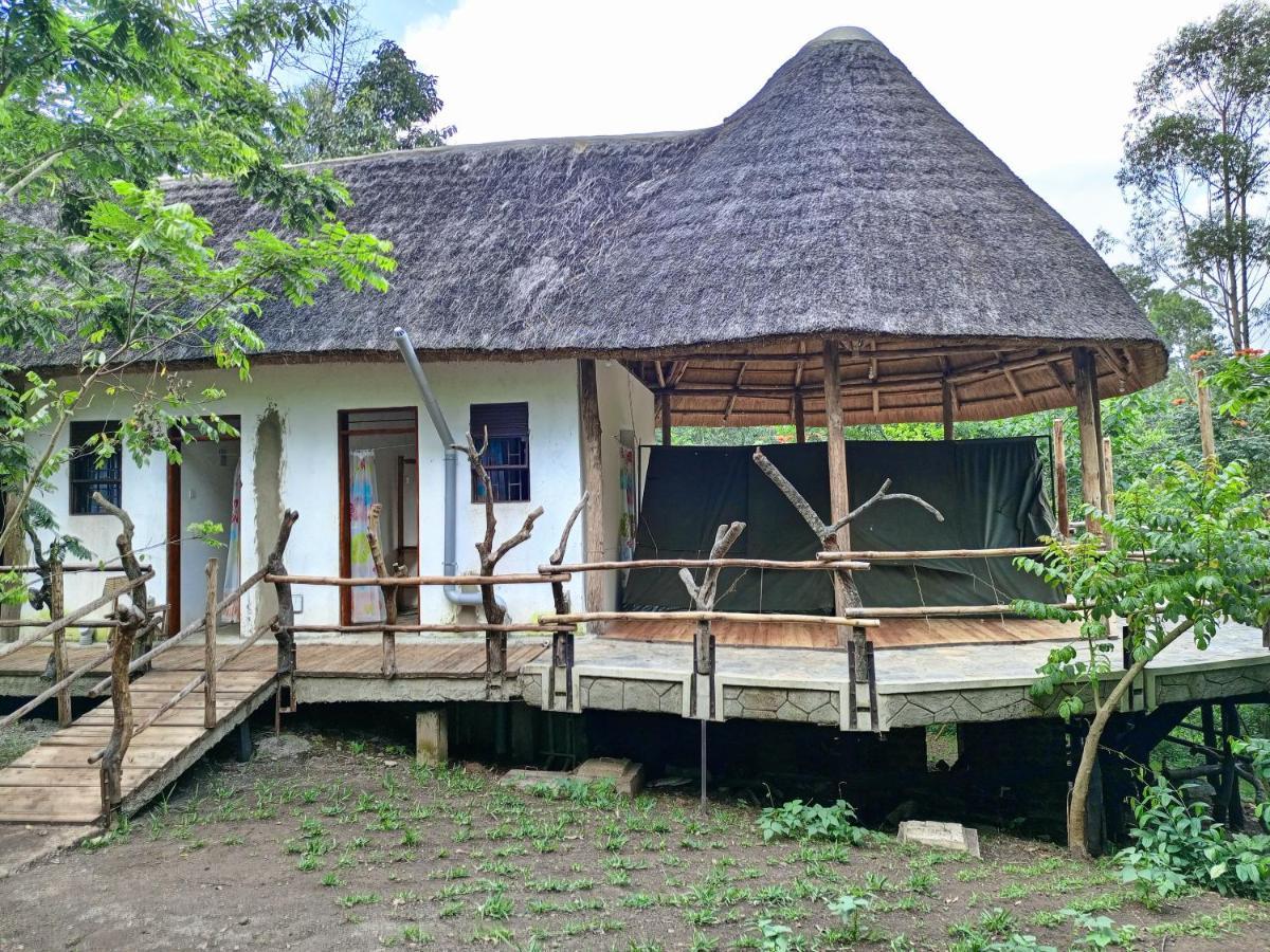 Chimpanzee Capital Safari Lodge Bigodi 외부 사진