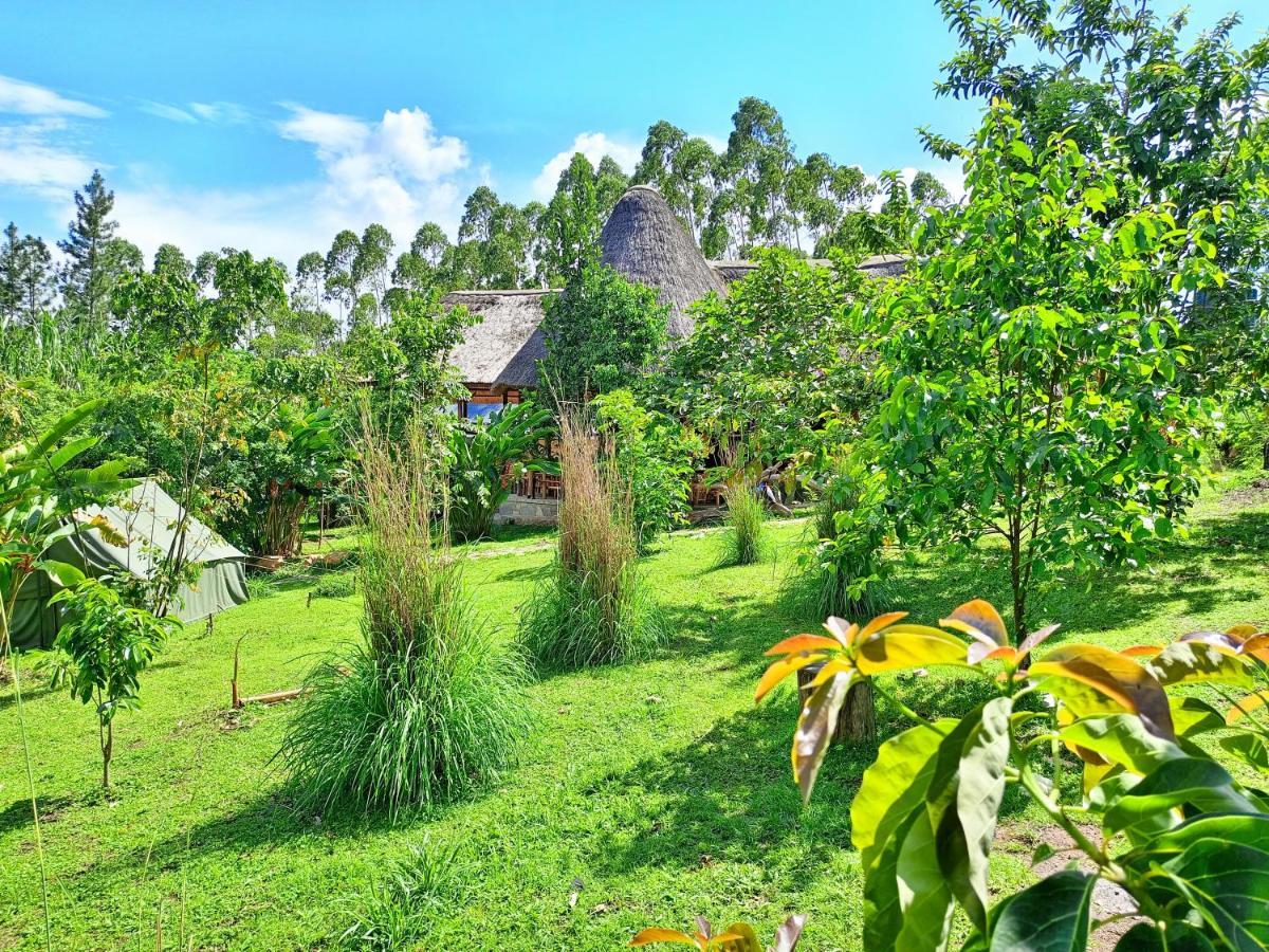 Chimpanzee Capital Safari Lodge Bigodi 외부 사진