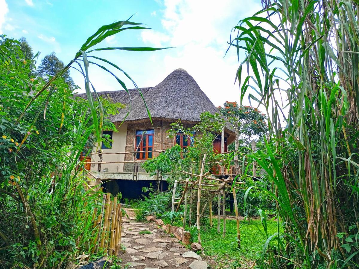 Chimpanzee Capital Safari Lodge Bigodi 외부 사진