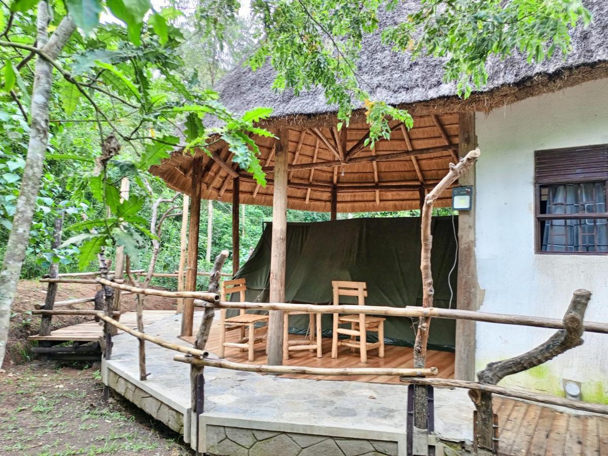 Chimpanzee Capital Safari Lodge Bigodi 외부 사진