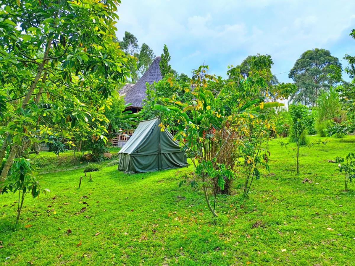 Chimpanzee Capital Safari Lodge Bigodi 외부 사진
