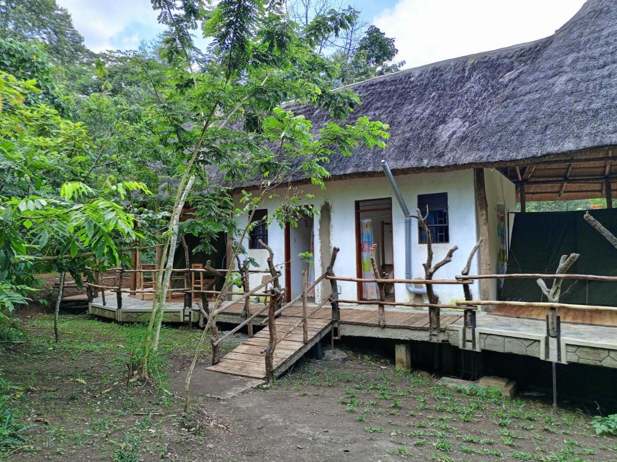 Chimpanzee Capital Safari Lodge Bigodi 외부 사진