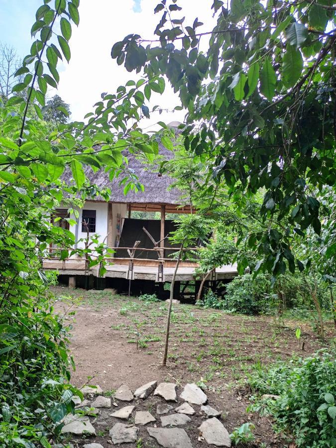 Chimpanzee Capital Safari Lodge Bigodi 외부 사진