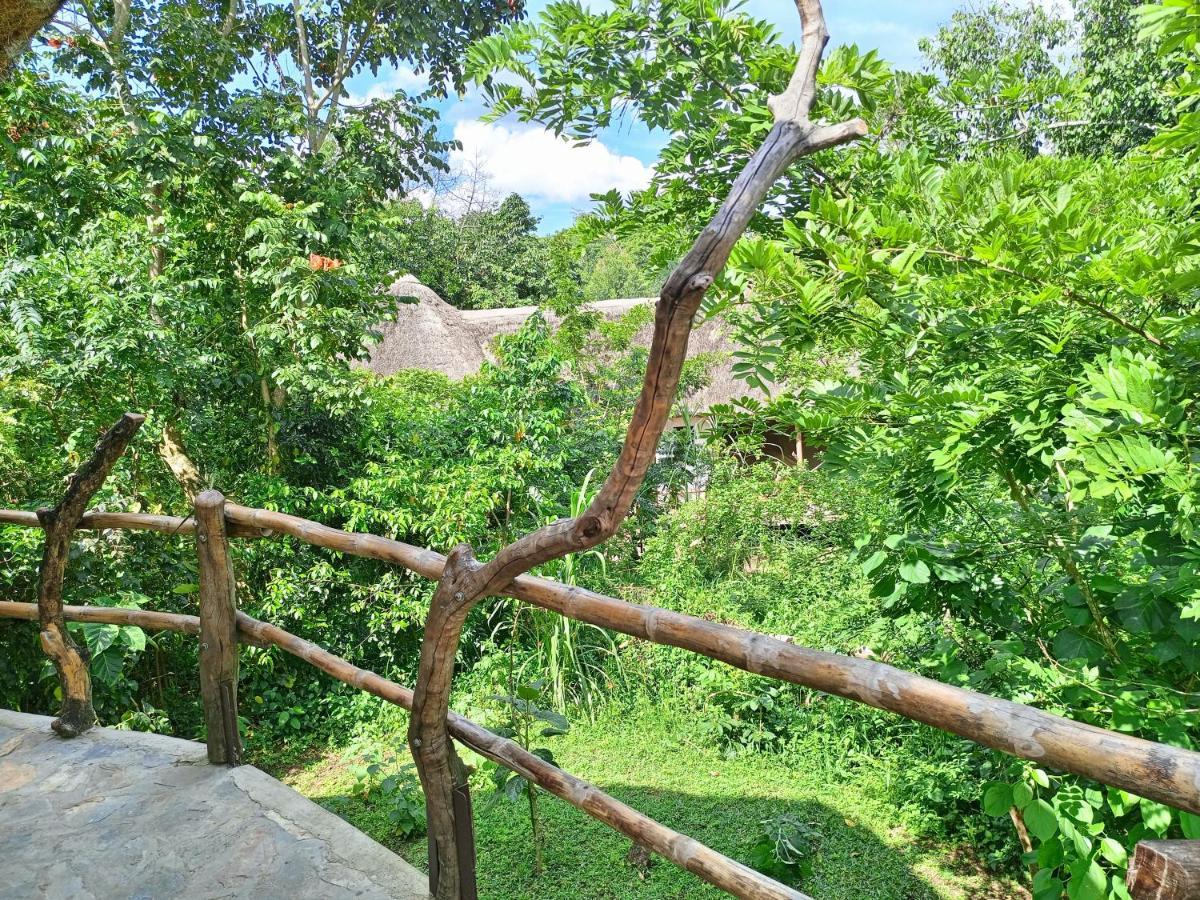 Chimpanzee Capital Safari Lodge Bigodi 외부 사진