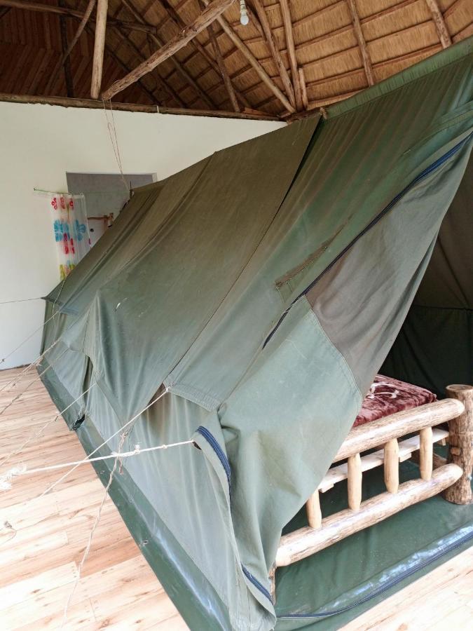 Chimpanzee Capital Safari Lodge Bigodi 외부 사진