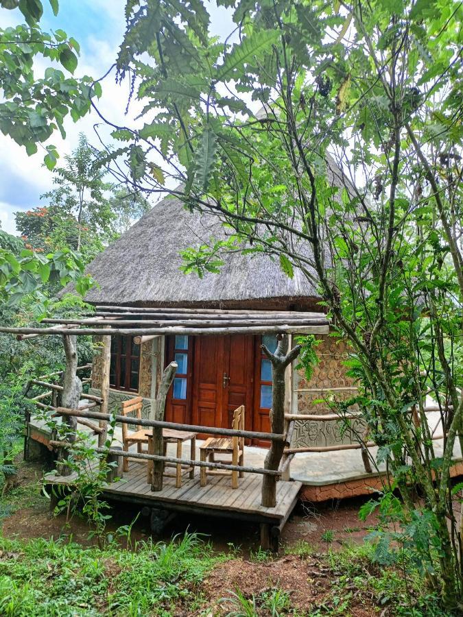 Chimpanzee Capital Safari Lodge Bigodi 외부 사진