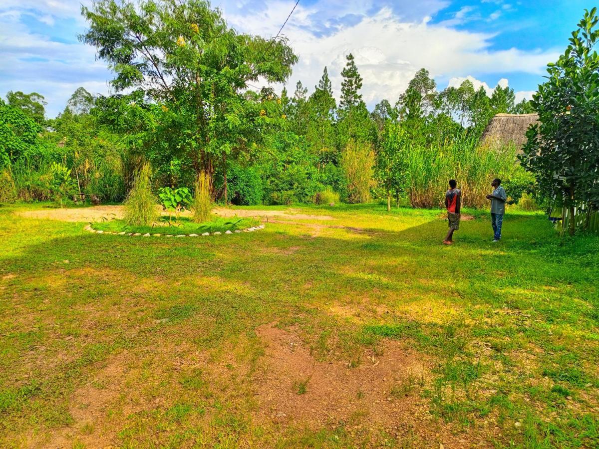 Chimpanzee Capital Safari Lodge Bigodi 외부 사진